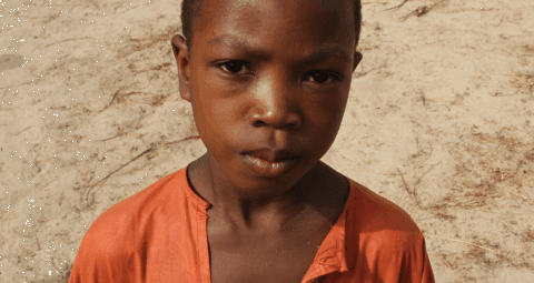 School Meals Programme