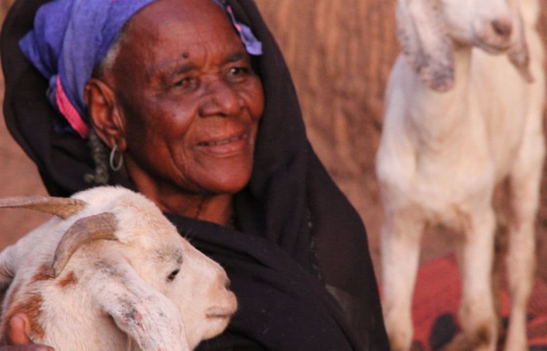 A woman farmer with goats from Muntada Aid's livelihoods scheme in Niger
