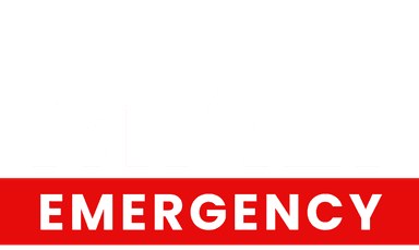 Mali Emergency logo
