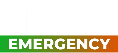 Niger logo