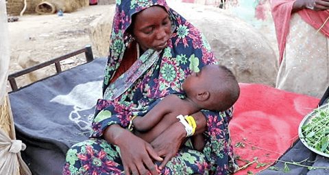 Sudan Emergency Appeal