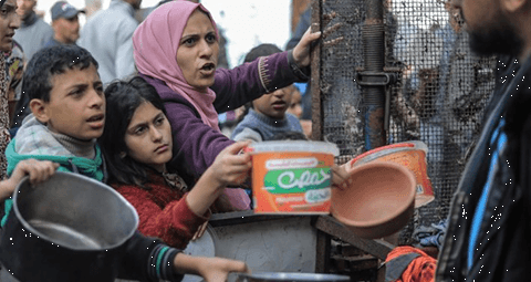 Gaza Crisis Long-term Response Programme 2