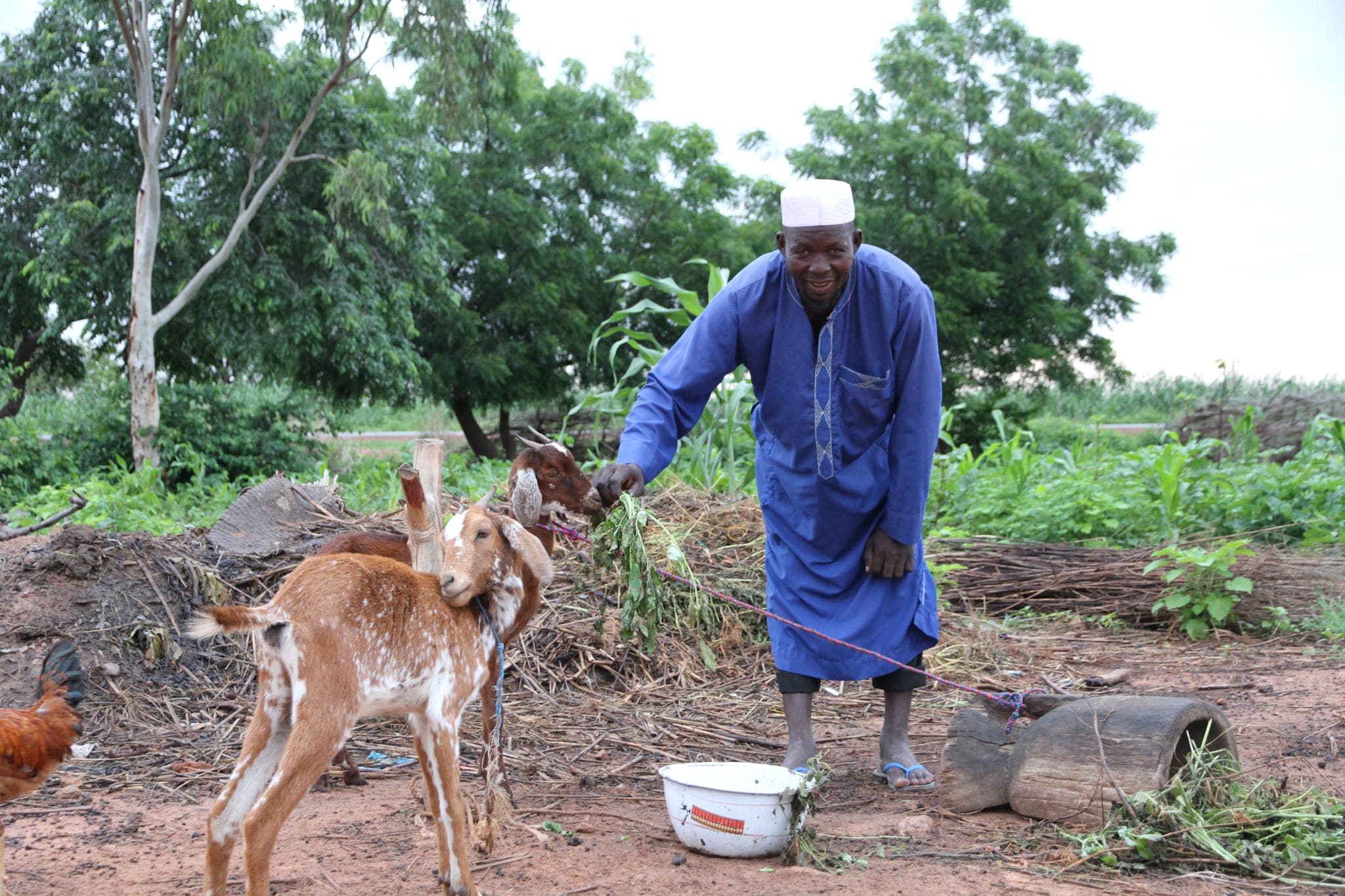 Livelihood Programme